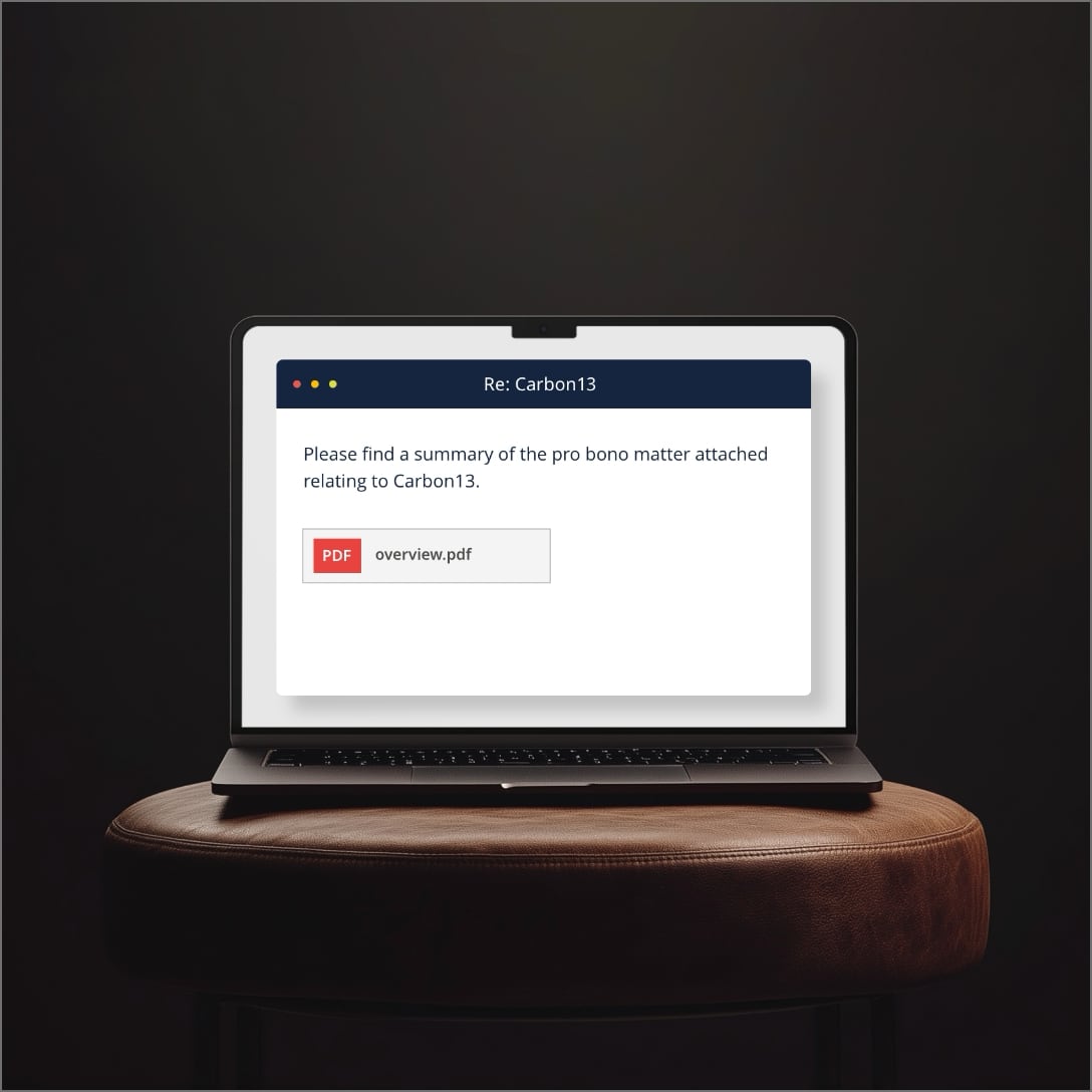 Identify pro bono services and beneficiaries in an advisory matter